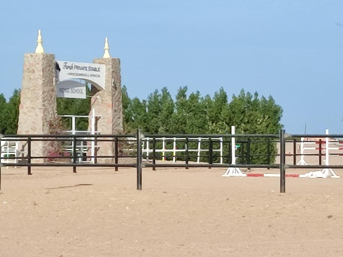 Joynant-Gouna Kite Road-2Room Mangroovy Free Beach Access - Pool View- 洪加達 外观 照片