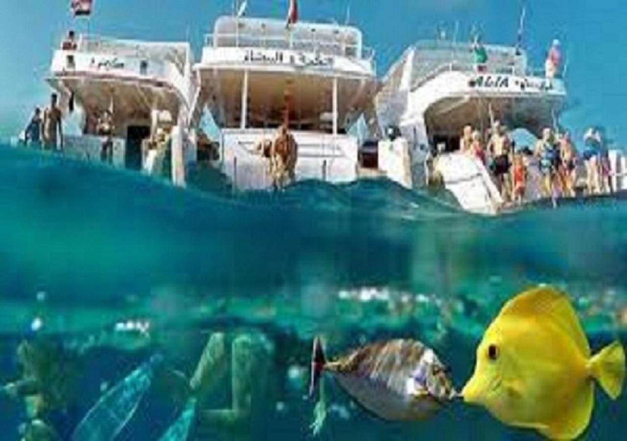 Joynant-Gouna Kite Road-2Room Mangroovy Free Beach Access - Pool View- 洪加達 外观 照片